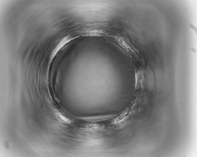 X0000093220195200710241223