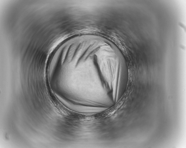 X0000093220196200710241223