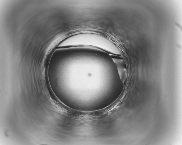 X0000093220197200710241223