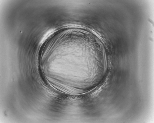 X0000093220199200710241223