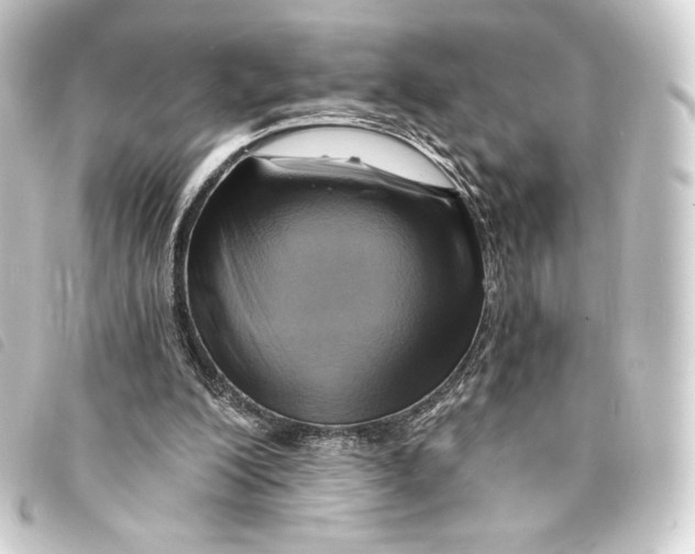 X0000093220200200710241223