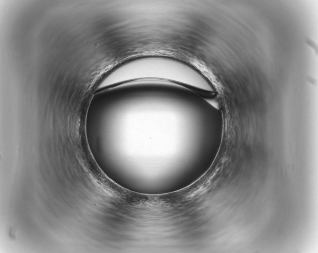 X0000093220201200710241223