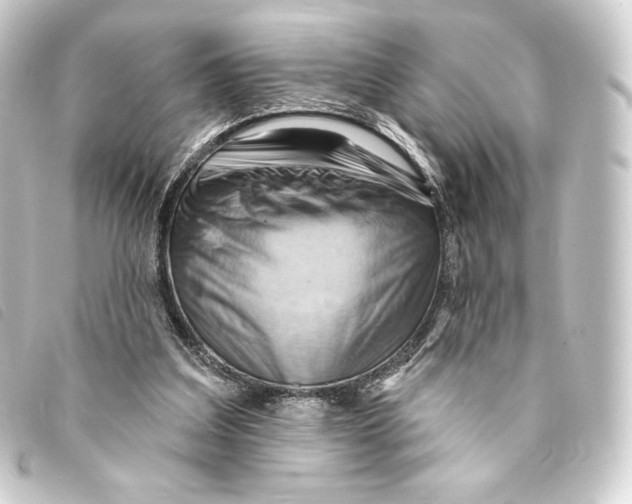 X0000093220203200710241223