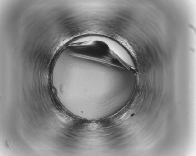 X0000093220204200710241223