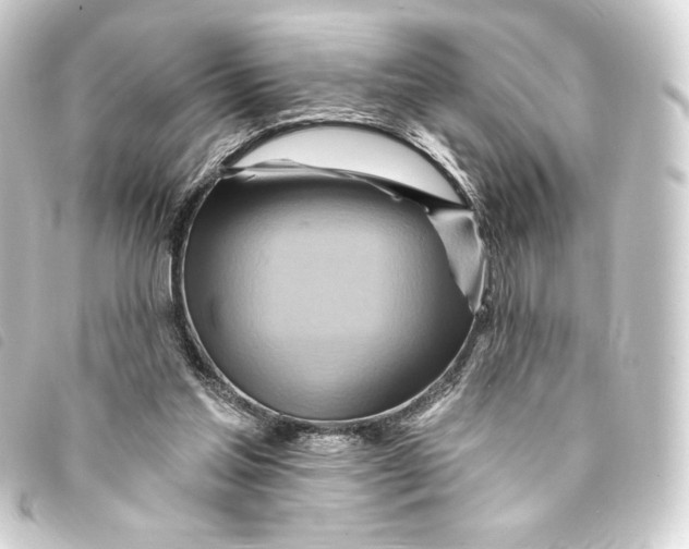 X0000093220205200710241223