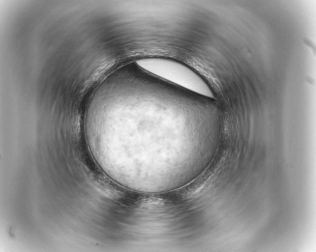 X0000093220206200710241223