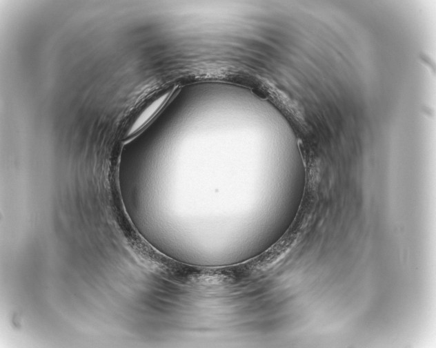 X0000093220209200710241223