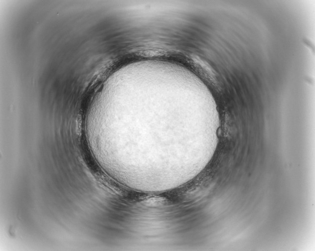 X0000093220210200710241223