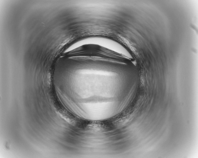 X0000093220211200710241223