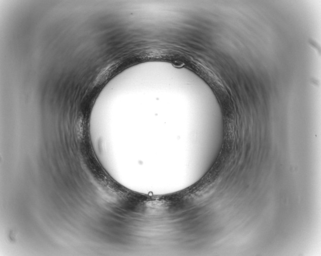 X0000093220216200710241222