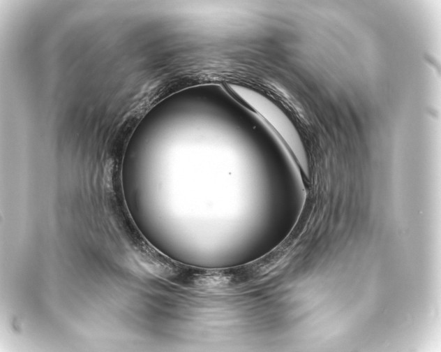 X0000093220217200710241222