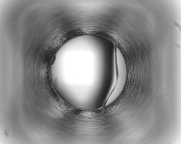 X0000093220221200710241222