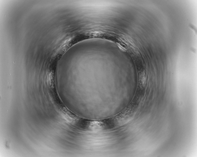 X0000093220222200710241222