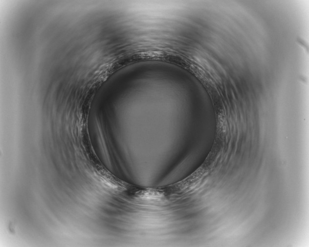 X0000093220223200710241222