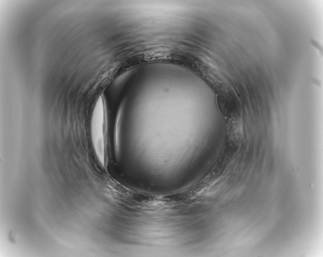 X0000093220224200710241222