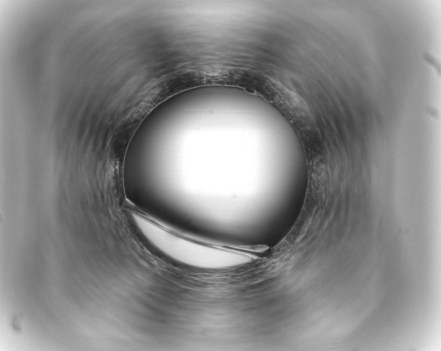 X0000093220225200710241222