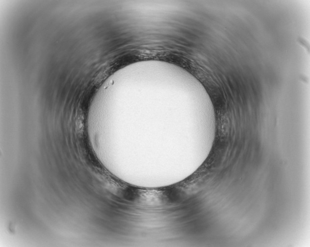 X0000093220226200710241222