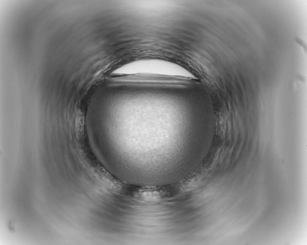 X0000093220228200710241222