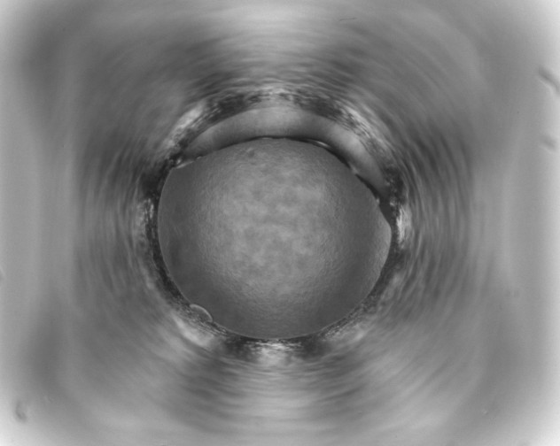 X0000093220229200710241222