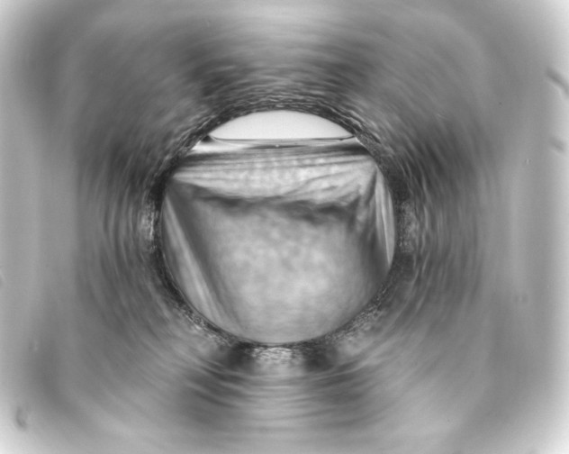 X0000093220230200710241222