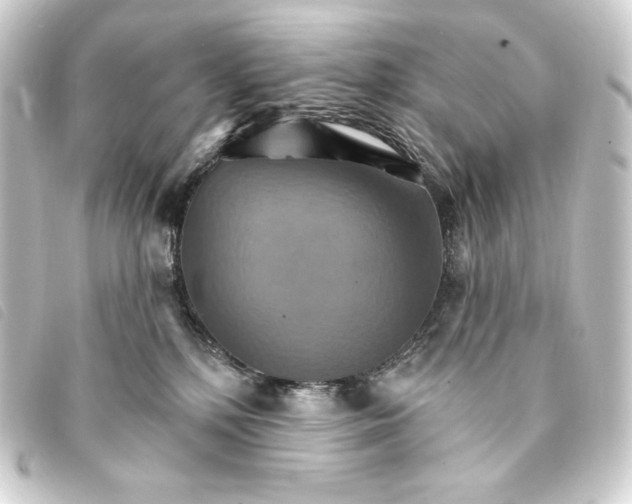 X0000093220232200710241222