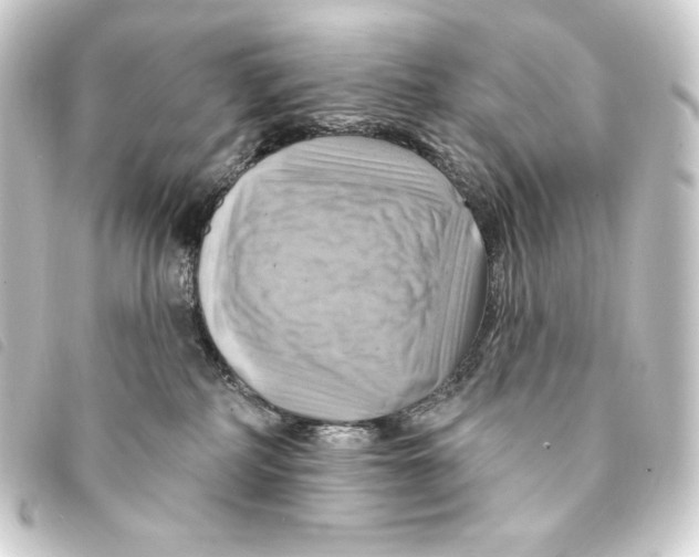 X0000093220234200710241222