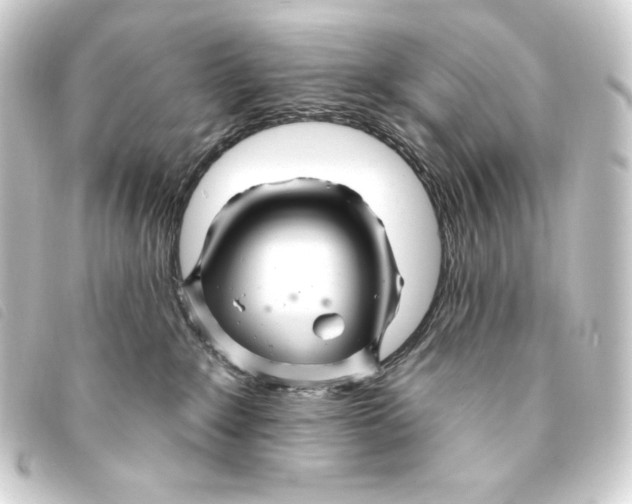 X0000093220235200710241222