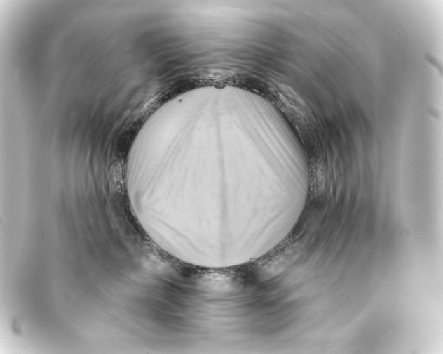 X0000093220236200710241222