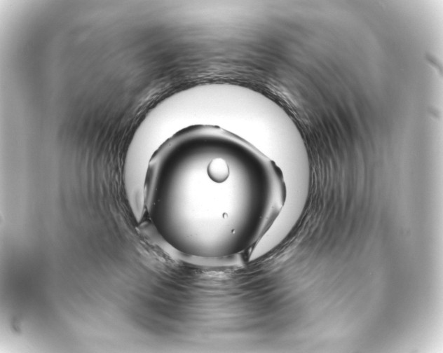 X0000093220237200710241222