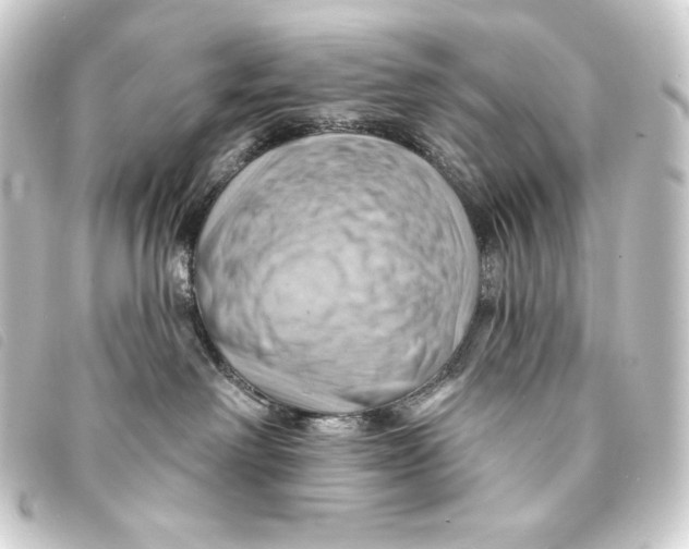 X0000093220238200710241222