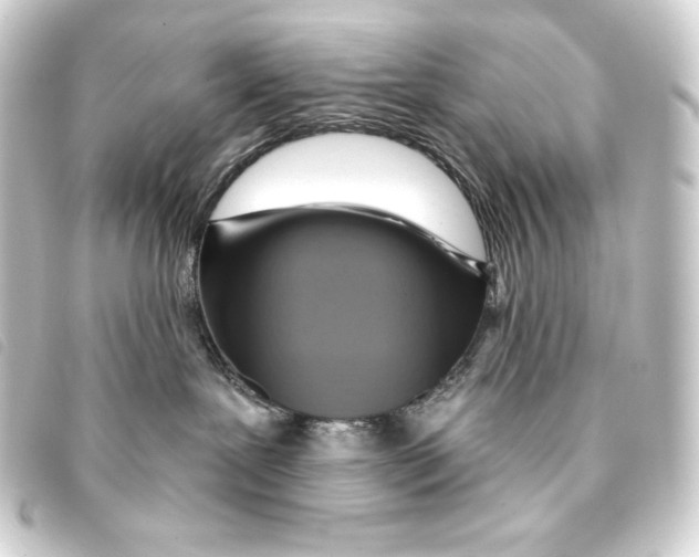 X0000093220239200710241222