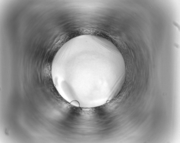 X0000093220240200710241222