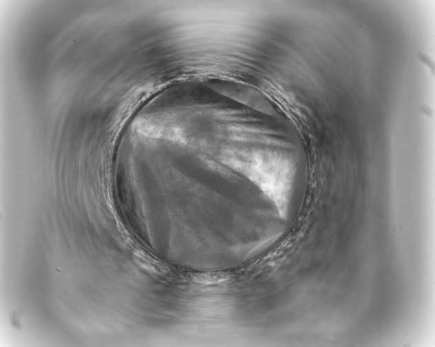 X0000093220241200710241222