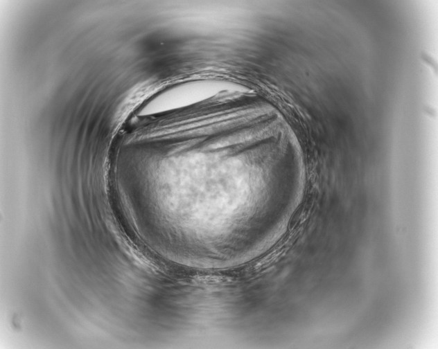 X0000093220242200710241222