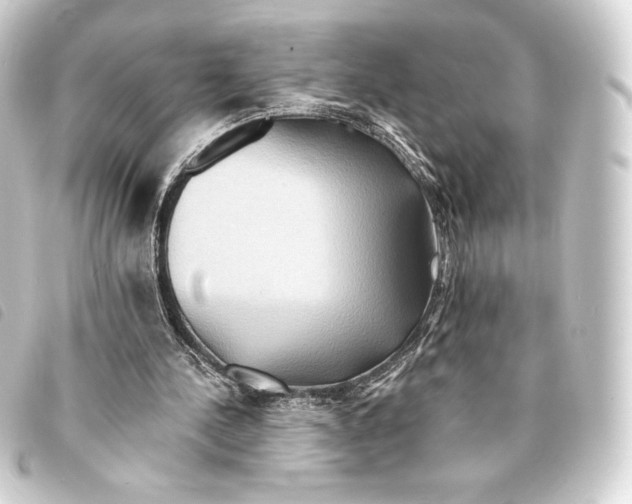 X0000093220244200710241222