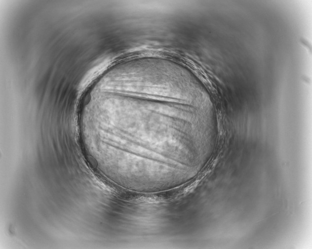 X0000093220245200710241222