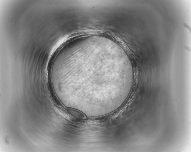 X0000093220246200710241222