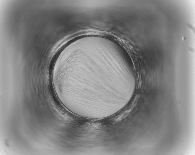 X0000093220247200710241222