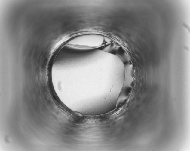 X0000093220248200710241222