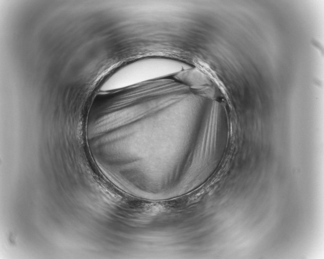 X0000093220249200710241222