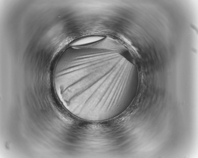 X0000093220250200710241222