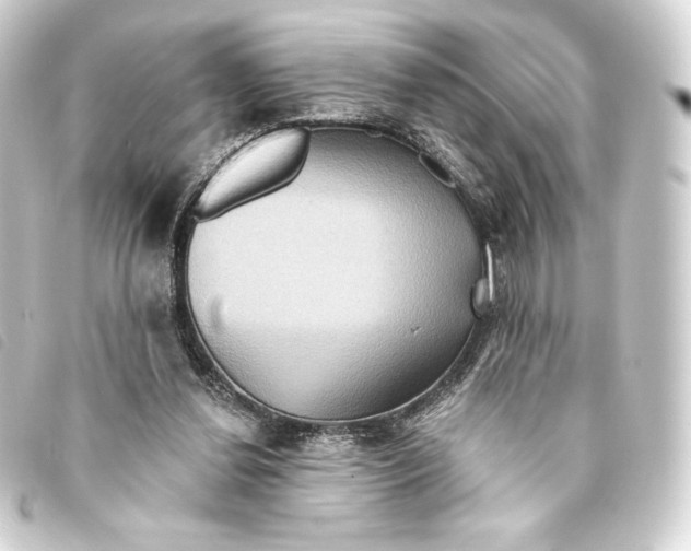 X0000093220252200710241222