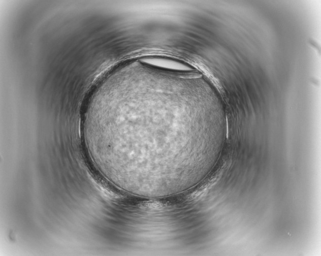 X0000093220253200710241222