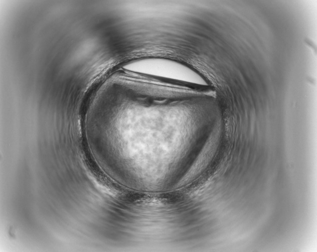 X0000093220254200710241222