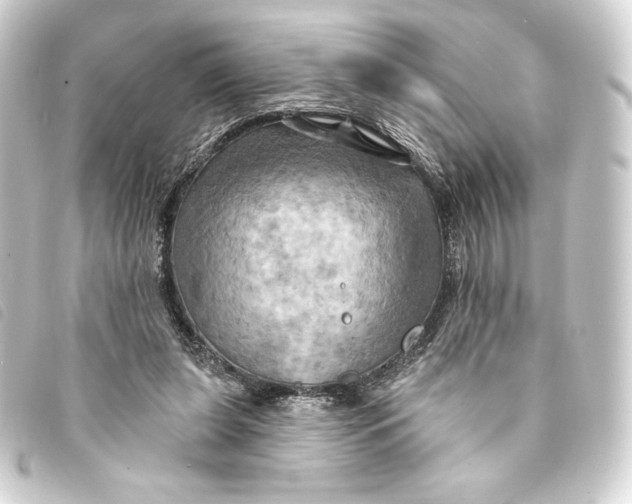 X0000093220255200710241222