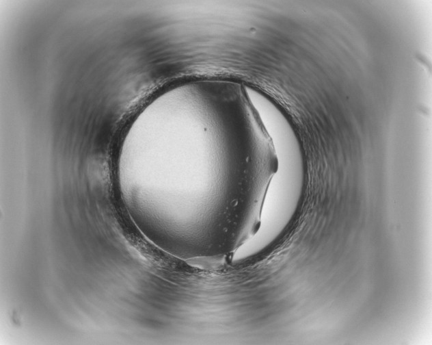 X0000093220256200710241222