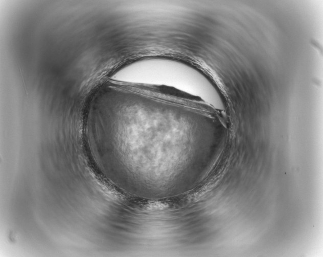 X0000093220257200710241222