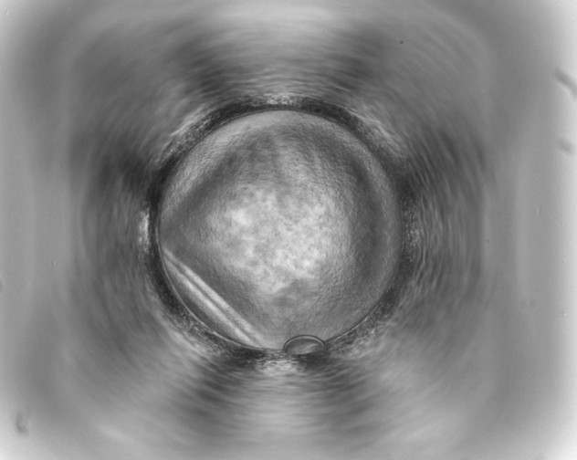 X0000093220262200710241222