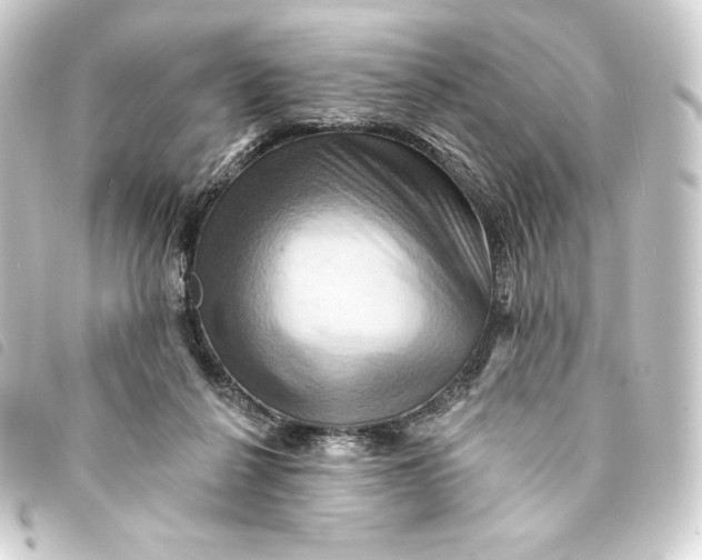 X0000093220264200710241222