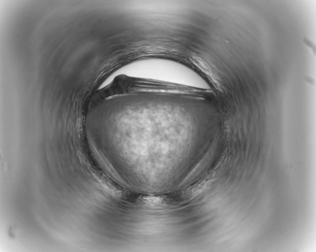 X0000093220265200710241222